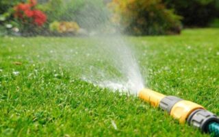 Автоматический полив газона: все за и против