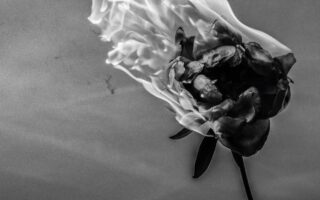 Cigarettes After Sex — You’re All I Want