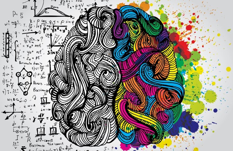 що таке когнітивні функції