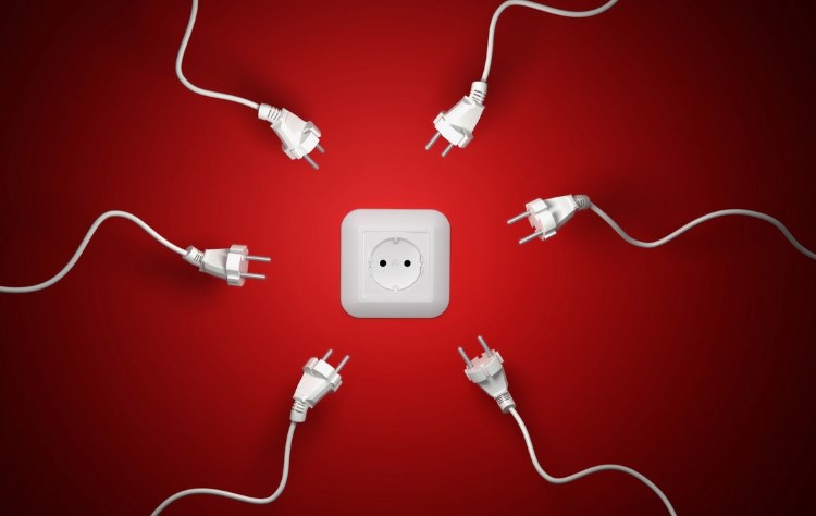 Розетки: пятерка лучших видов