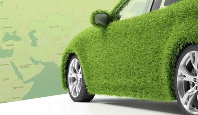 що таке зелена карта