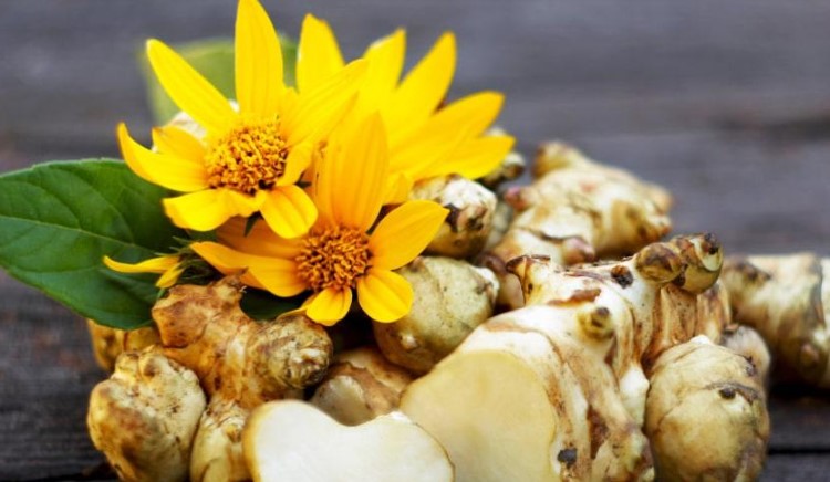 Що таке топінамбур