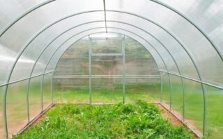 Универсальные теплицы из поликарбоната