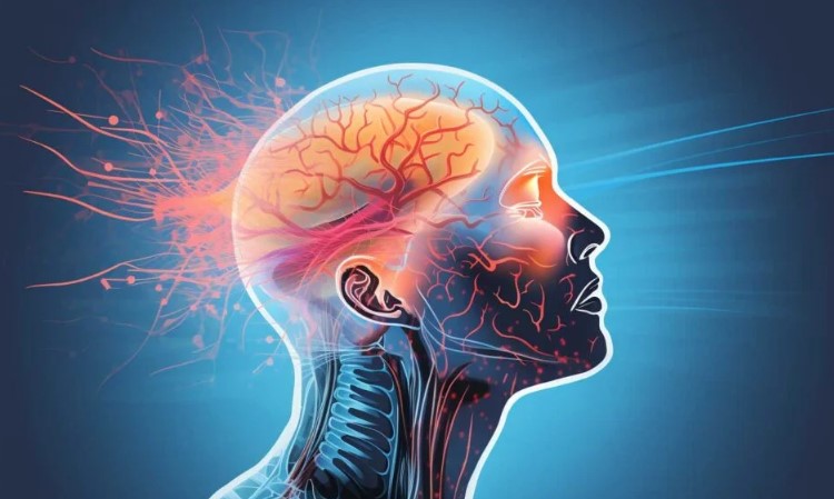 Чи дійсно нервові клітини не відновлюються