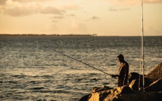 Виды рыболовных шнуров