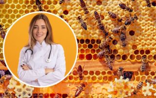 Що таке апітерапія