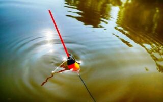 Топ 5 найкращих водойм Волині