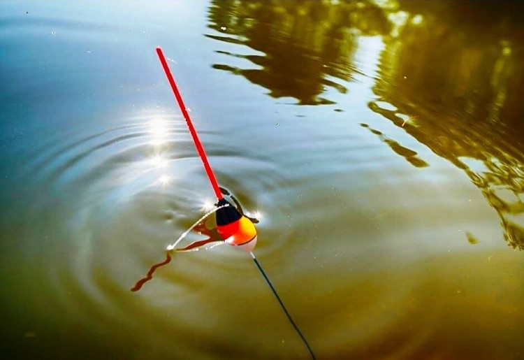 Топ 5 найкращих водойм Волині