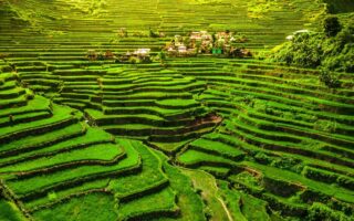 Рисові тераси Лунцзи – перлина Китаю