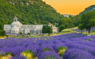 Романтичні канікули в Провансі