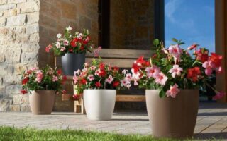 Пластикові горщики для квітів