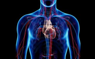 Що таке Вегето-судинна дистонія