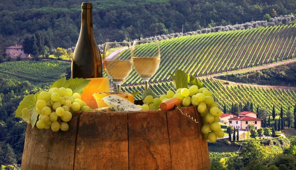 Винні тури Італії: найкращі регіони