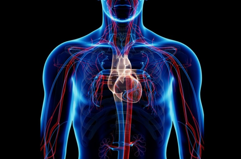 Що таке Вегето-судинна дистонія