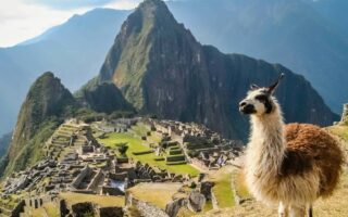 Цікаві факти про Південну Америку