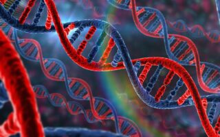 Що таке ген