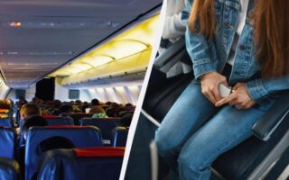 Хто такі "aisle lice" та "gate lice"