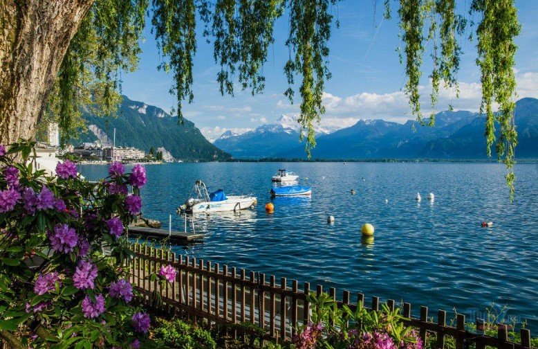 женевське озеро цікаві факти