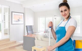 Професійний клінінг