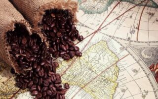 Що таке кавовий пояс