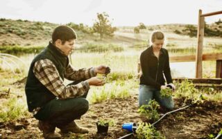 Що таке натуральне господарство