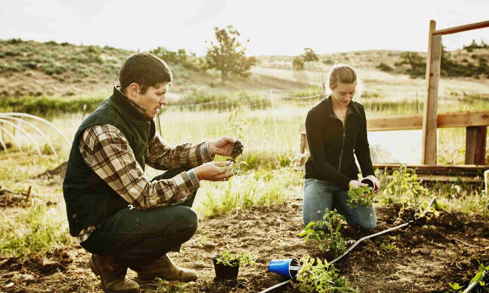Що таке натуральне господарство