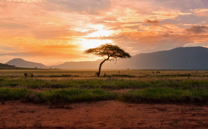 Чому Африка найспекотніший материк