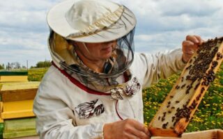 костюм пасечника