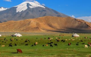 Монголія цікаві факти