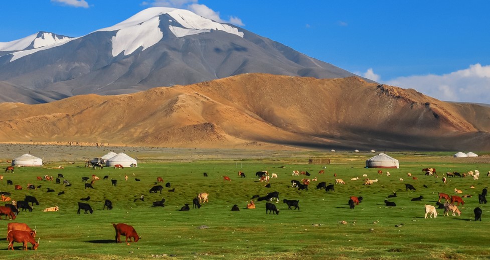 Монголія цікаві факти