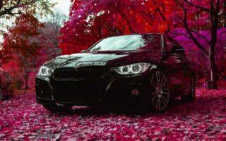 PPF-антигравий: невидимая броня для кузова