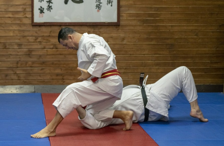 джиу джитсу