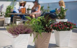 кашпо і дерев’яні горщики для квітів